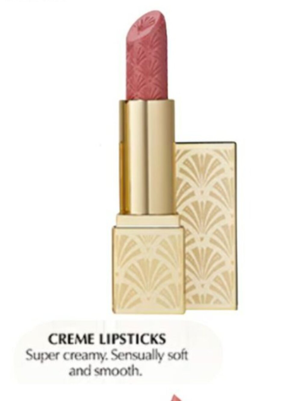 Estee Lauder Limited Edition Lipstick - Stricly Confidential
